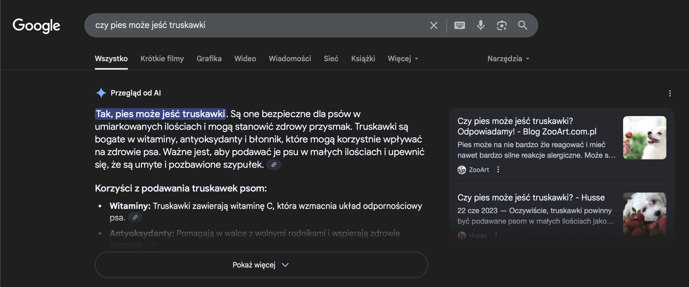 SEO AI - Wyniki Podsumowania Google AI dla zapytania "Czy pies może jeść truskawki"
